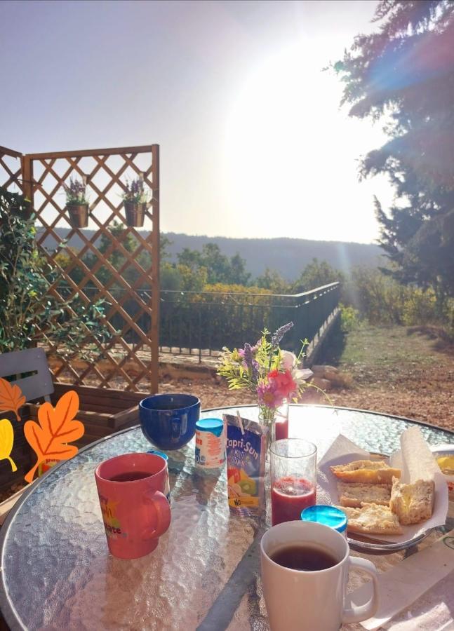 Logement D'Exception Pres Du Colorado Provencal Dans Une Residence Au Calme Avec Piscine Offrant Une Vue Imprenable Sur Le Luberon Depuis Sa Terrasse Viens Buitenkant foto